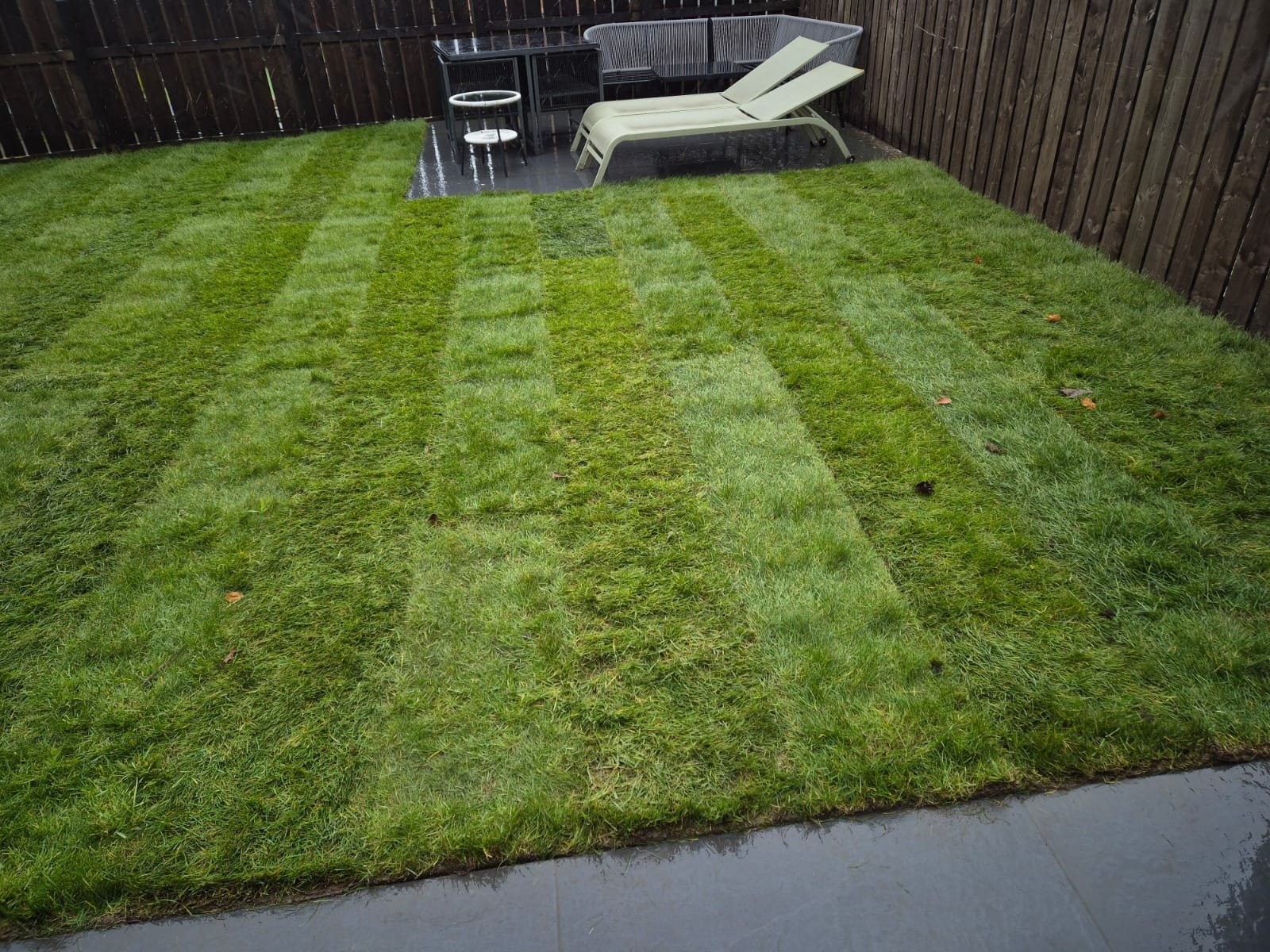 Freshly laid replacement turf in Walker