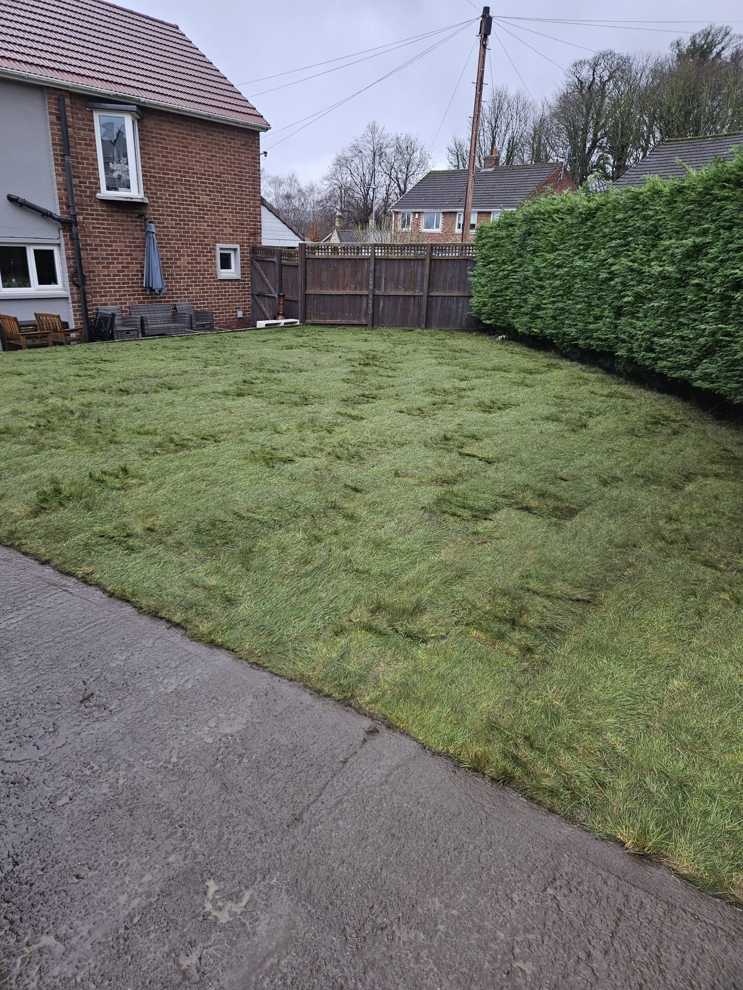 Hard wearing pet friendly turf in Walker